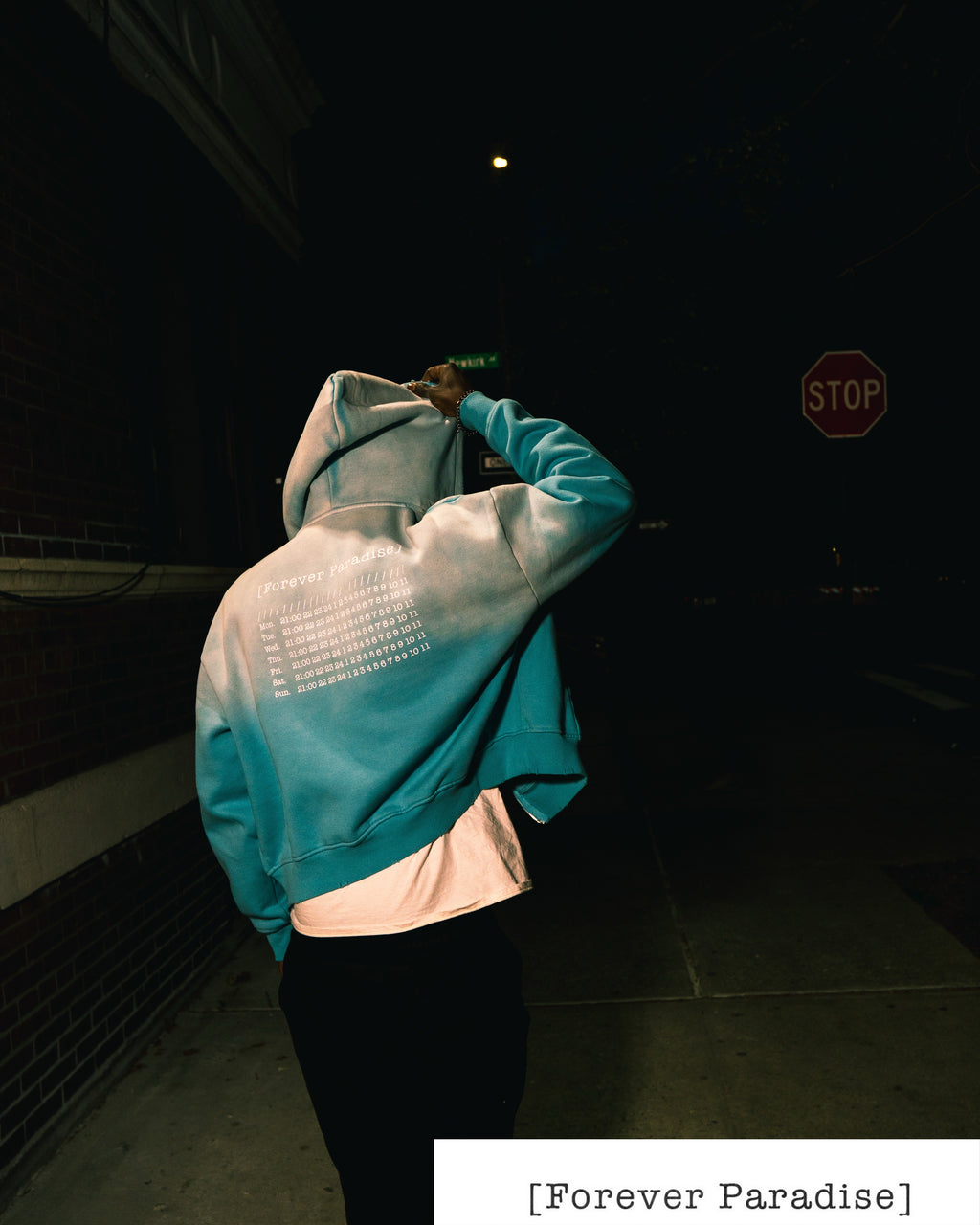 SKAIBLU ☁️ Oversized crop Hoodie