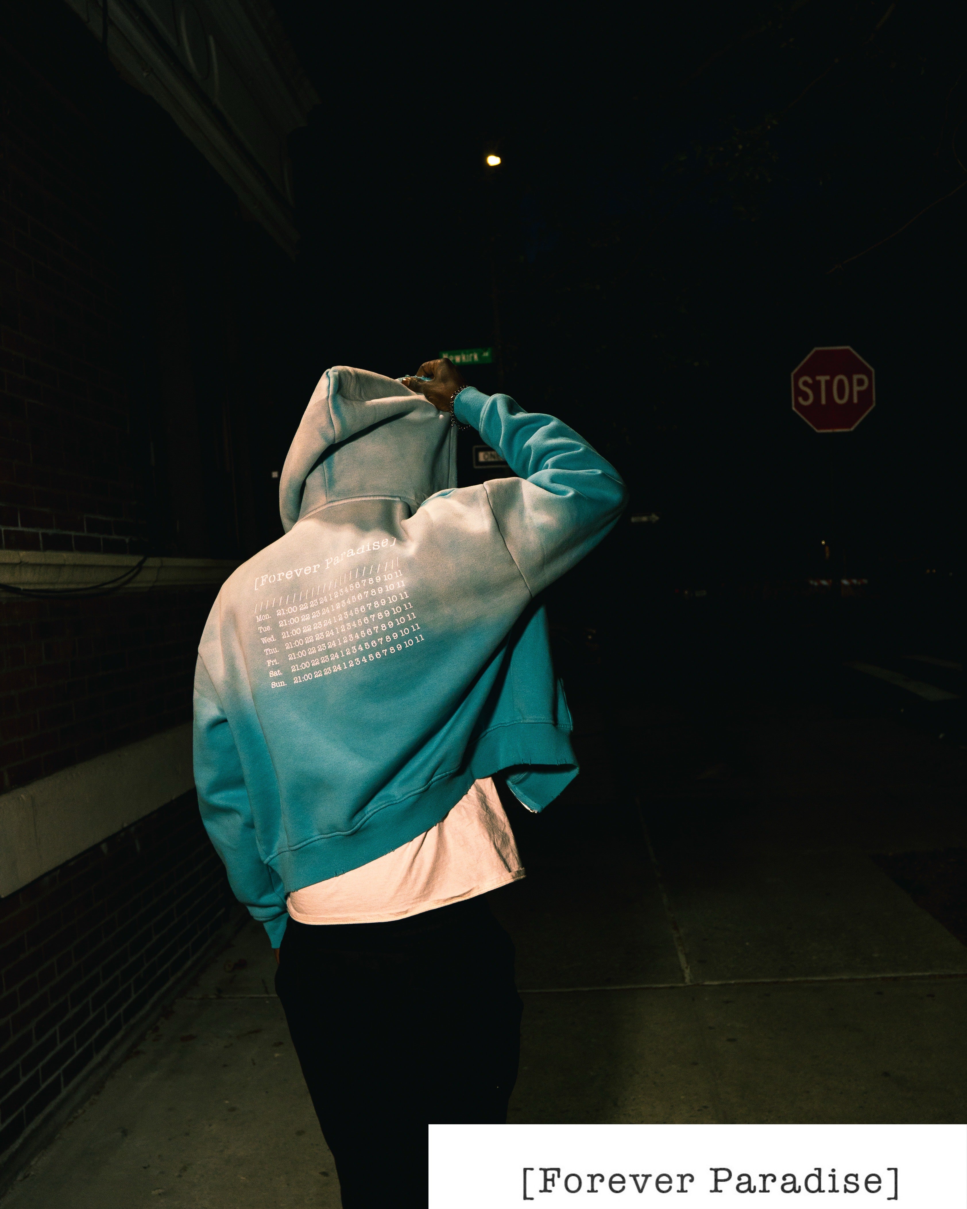 SKAIBLU ☁️ Oversized crop Hoodie